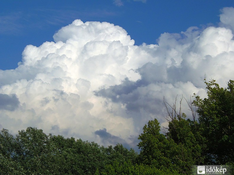 Cumulus