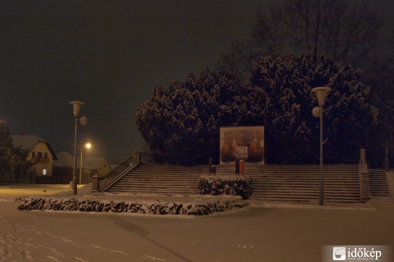 Polgár