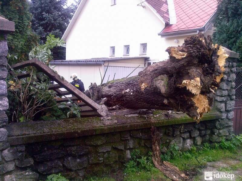 Fakidőlés Kőszegen