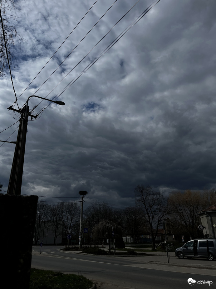 Fodrozódás a magasban