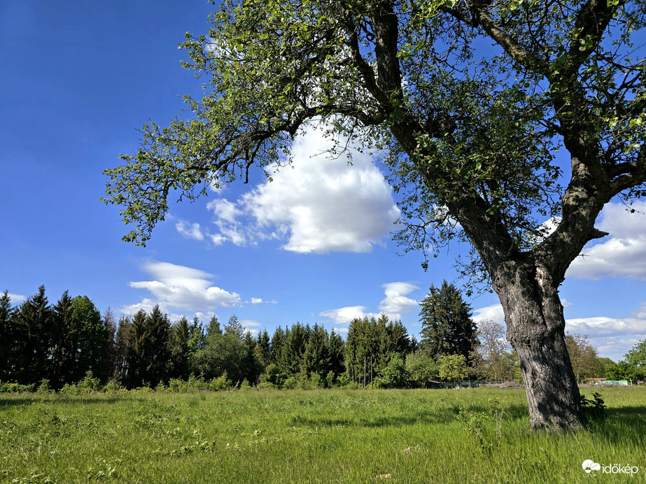 Kustánszeg 