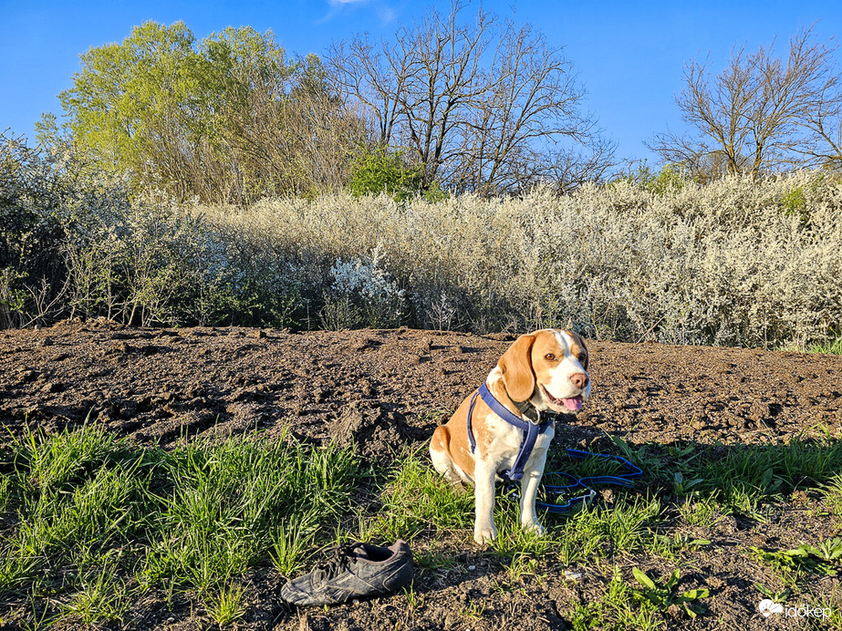 Ha valaki keresné 2. – Meglett a folytatás