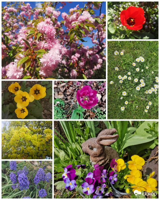 Tavaszi virágcsokor