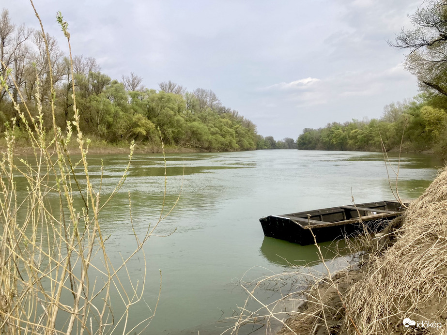Tisza