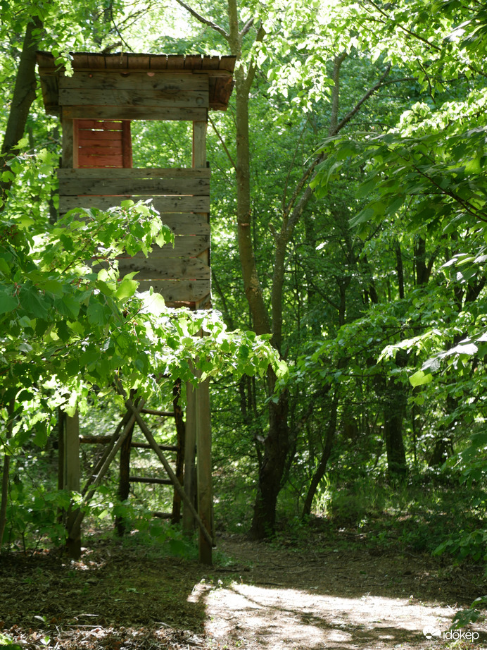 Vadászles