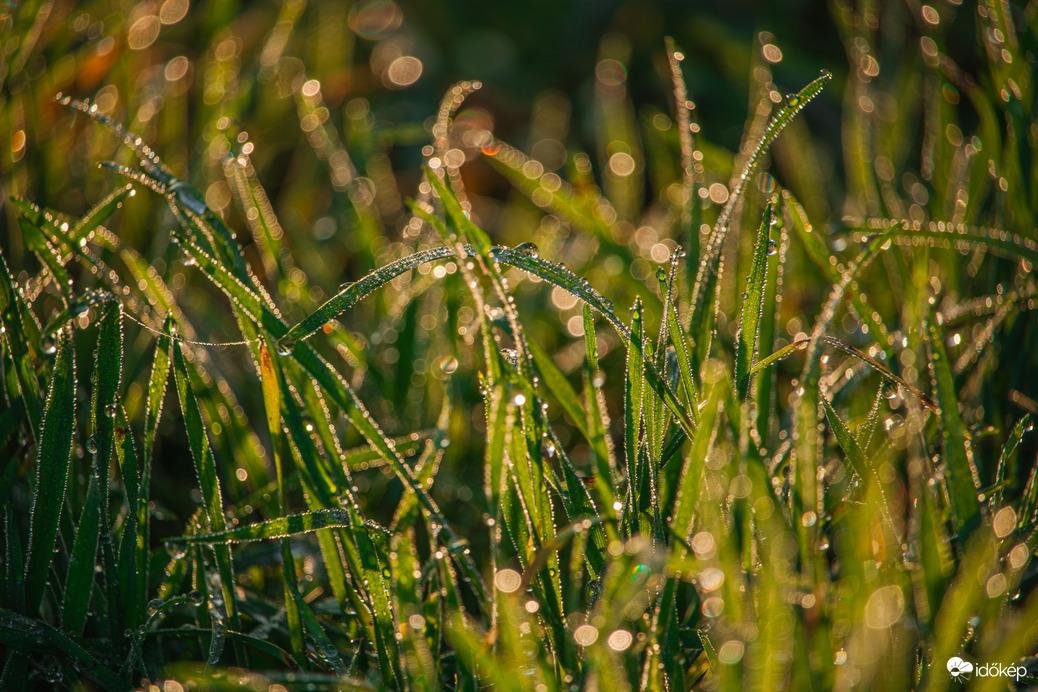 Amikor néha kisüt a nap. :-)