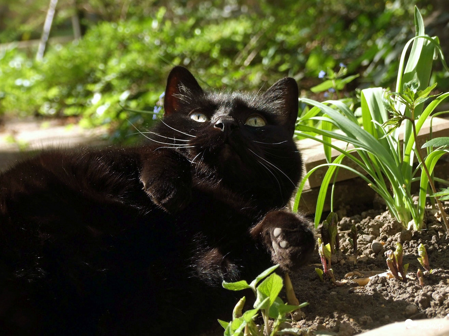 Már megint ezek a madarak...:)