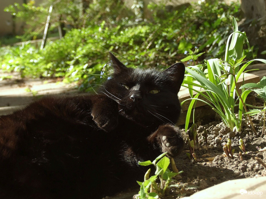 Sok itt a gyanús alak...:)