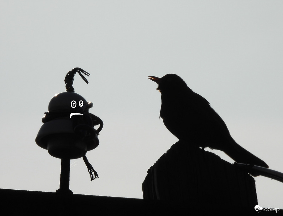 Nekem aztán énekelhetsz, totál süket vagyok 