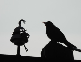 Nekem aztán énekelhetsz, totál süket vagyok 