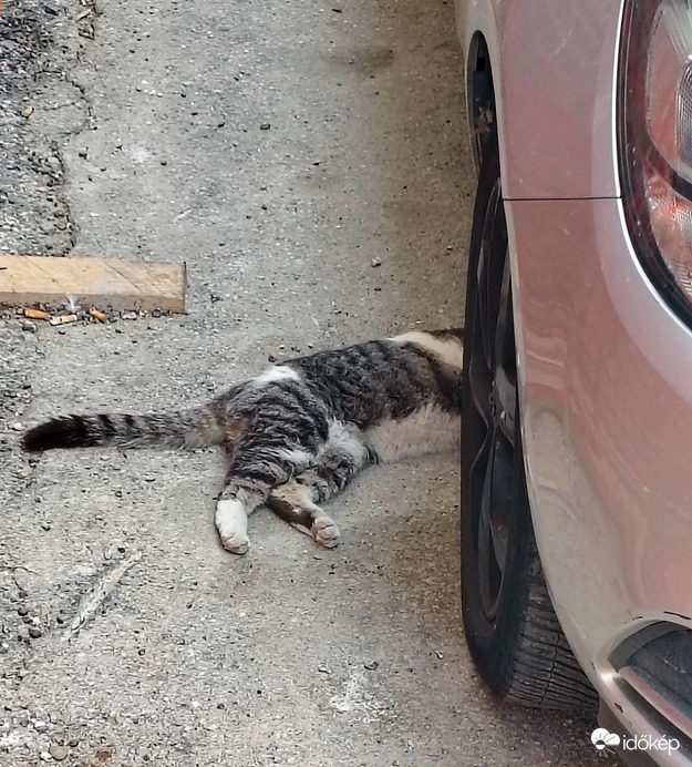 Nem könnyű normális autószerelőt találni 