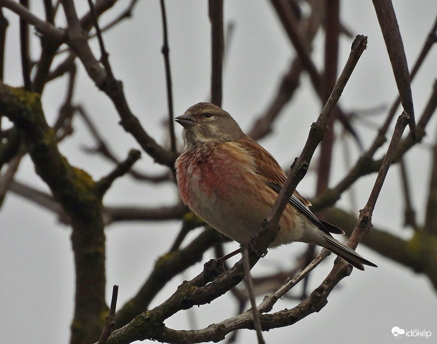Jelentem, az óraátállítás sikeresen megtörtént! 
