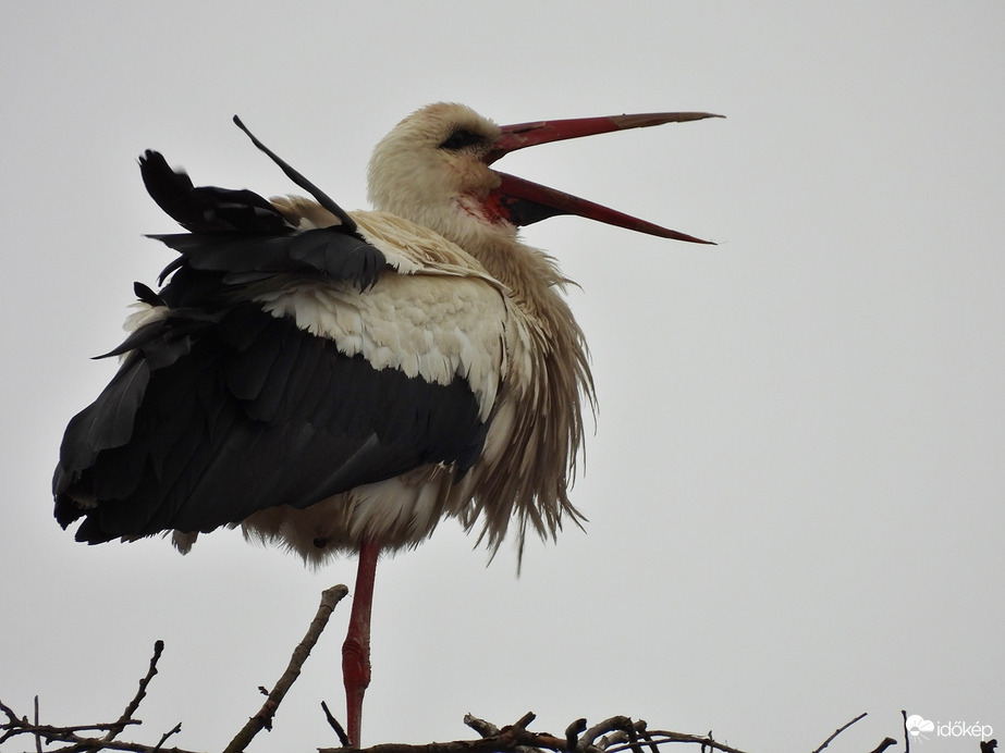 Szélcsendet akarok!