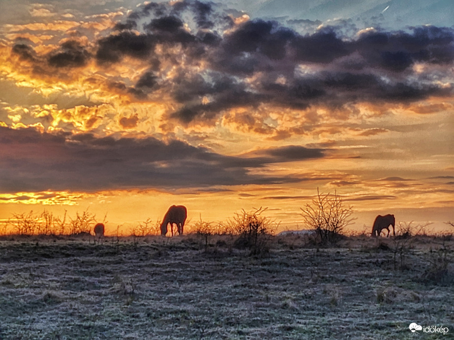 Jó étvágyat kívánok!
