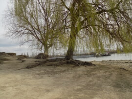 alacsony vízállás a Dunán