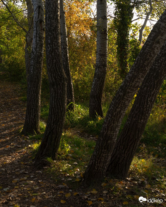 Itt még sütött a nap 