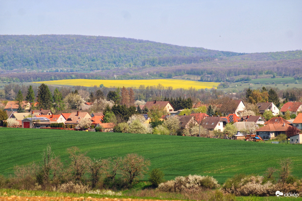 Tavasz 