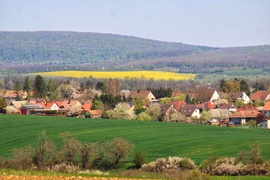 Tavasz 