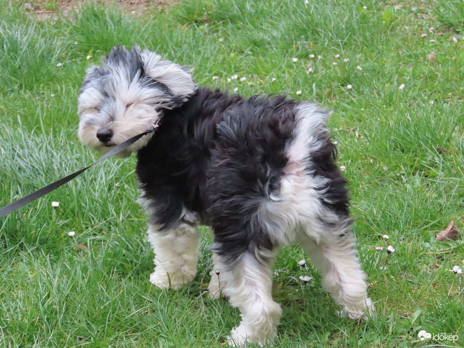 Nem szeretem a szelet!