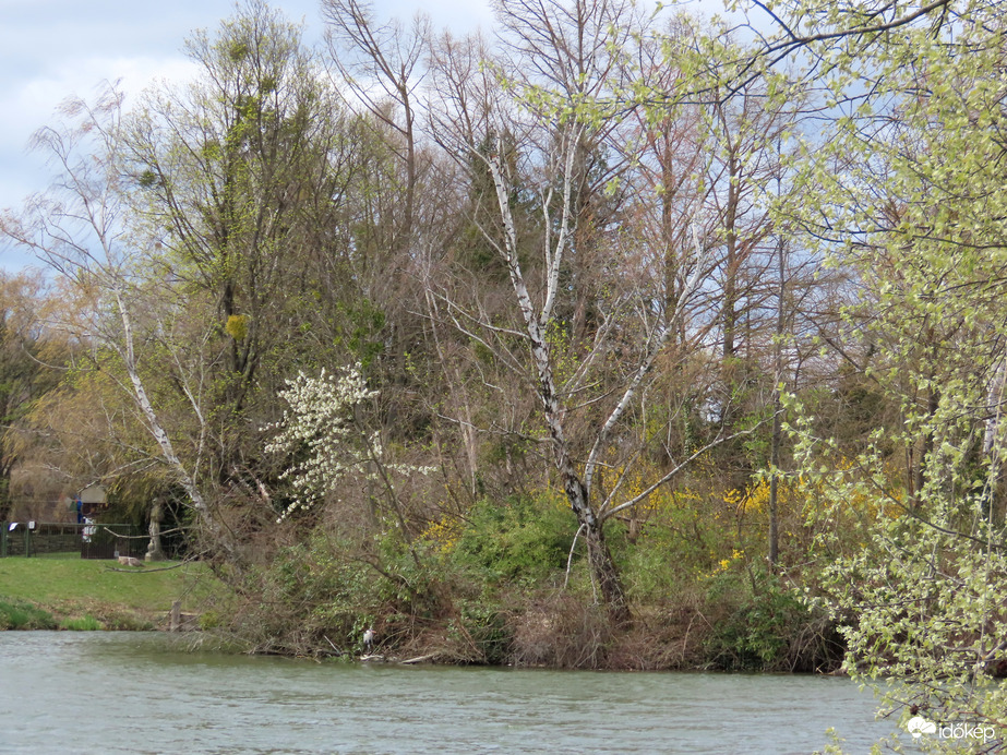 Keress meg a szigeten!