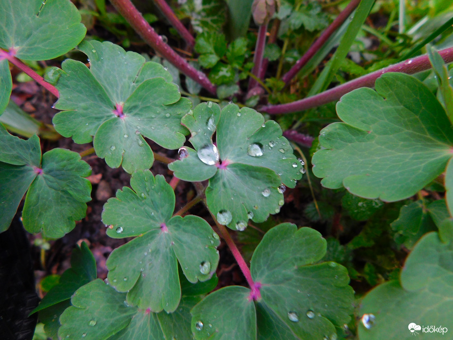 mindig csak a gyenge eső jut  :(