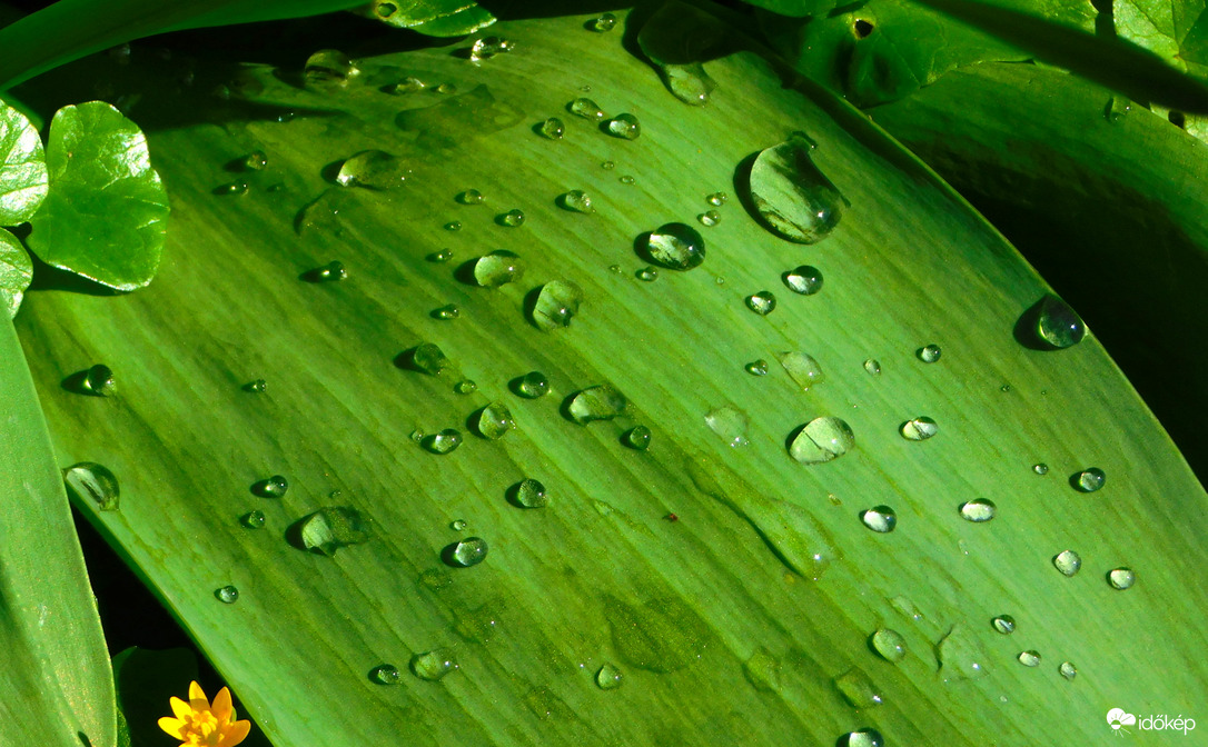 csak 10 mm-el zárt az esős időszak