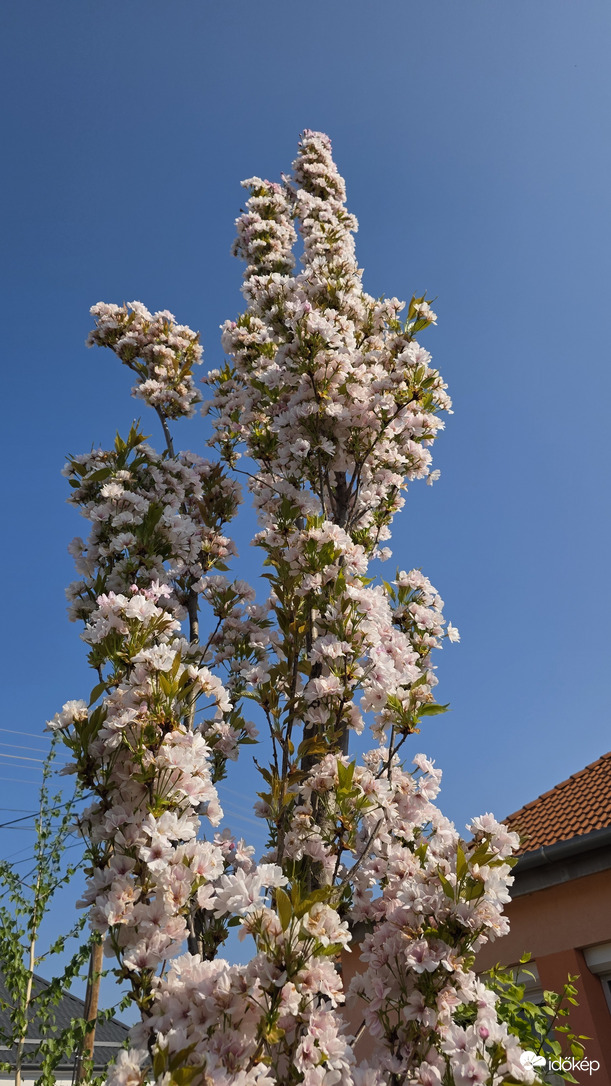 Mosonszolnok