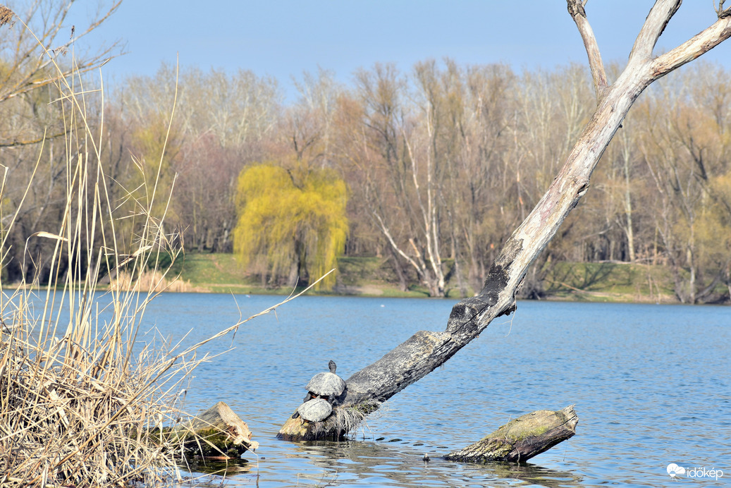 Nézelődünk és sütkérezünk