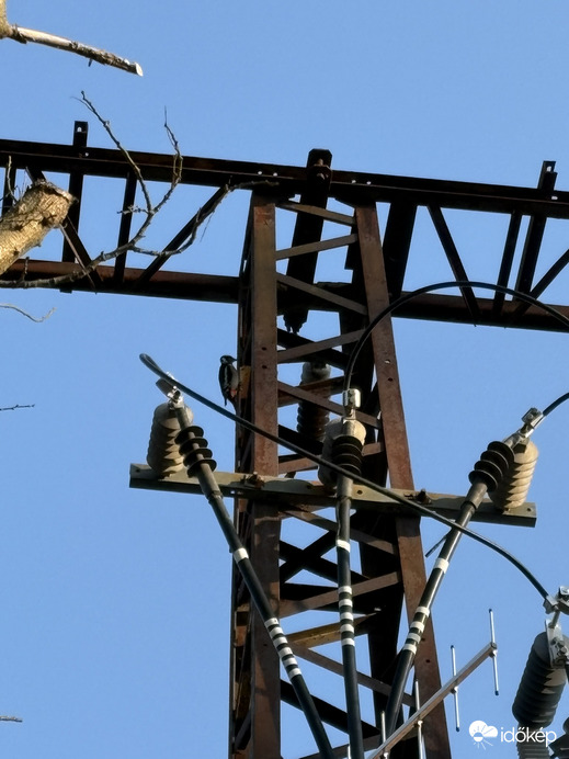 Esztergomi vaskopáncs