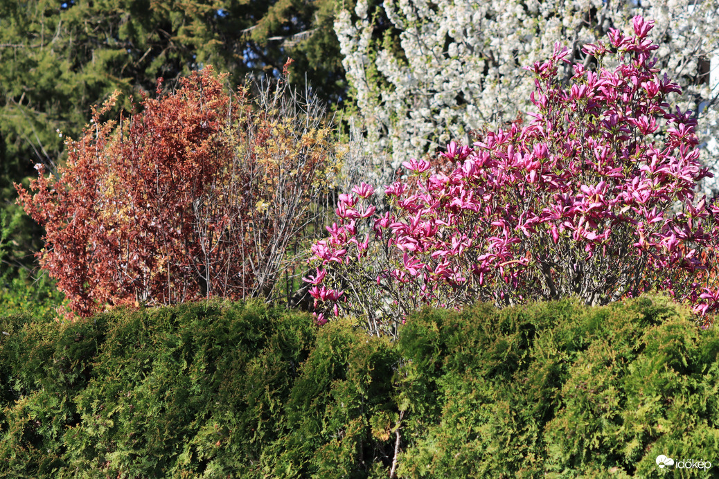 HÚSVÉTI  TAVASZI SZÍNPOMPA