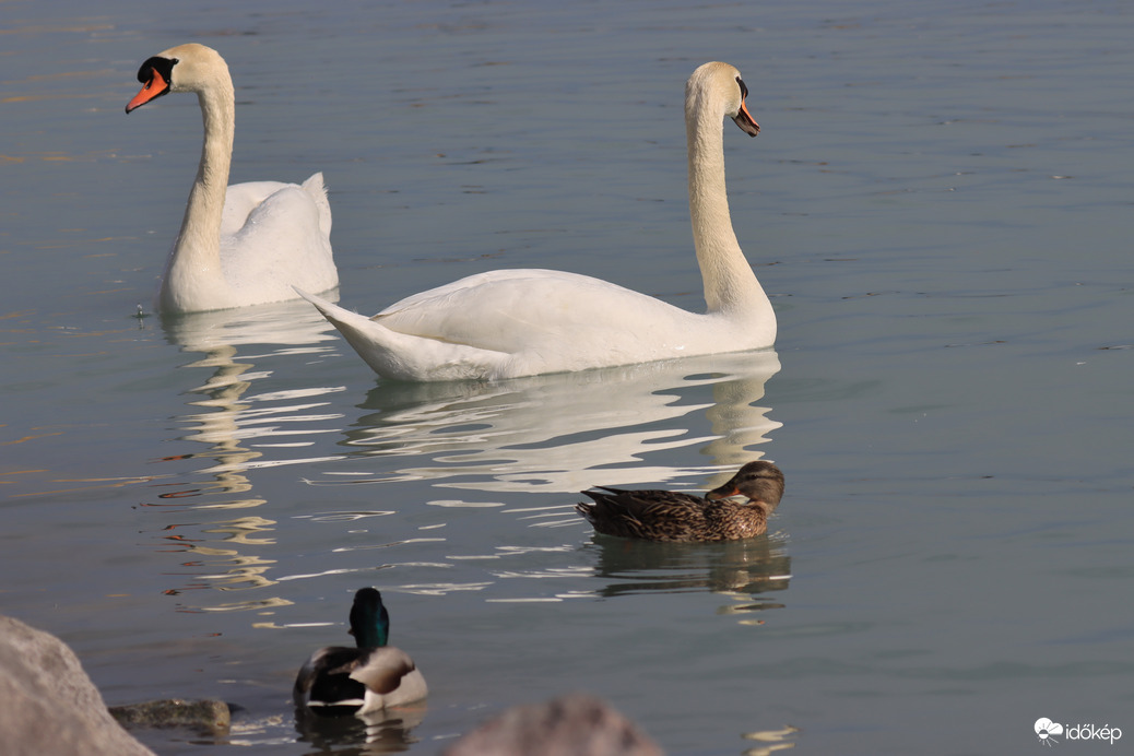 Csodálatos napsütésben