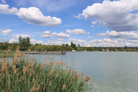 BALATONI CSENDÉLET