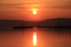 TERMÉSZET FESTMÉNYE