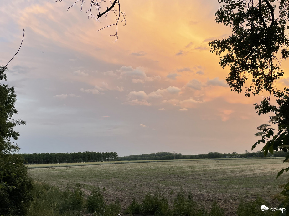 Monorierdő