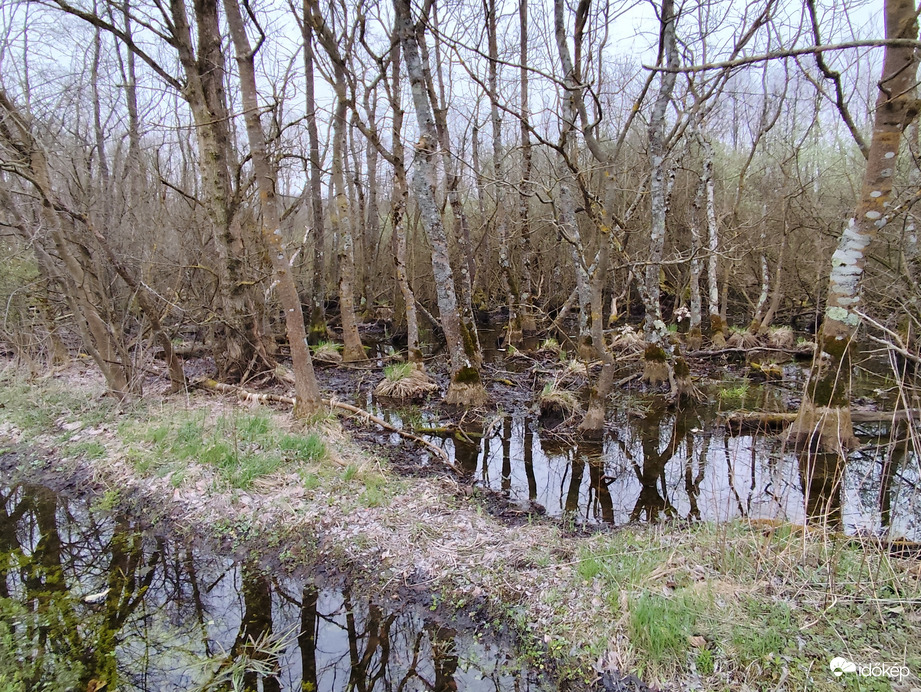Tavaszi vizek 3