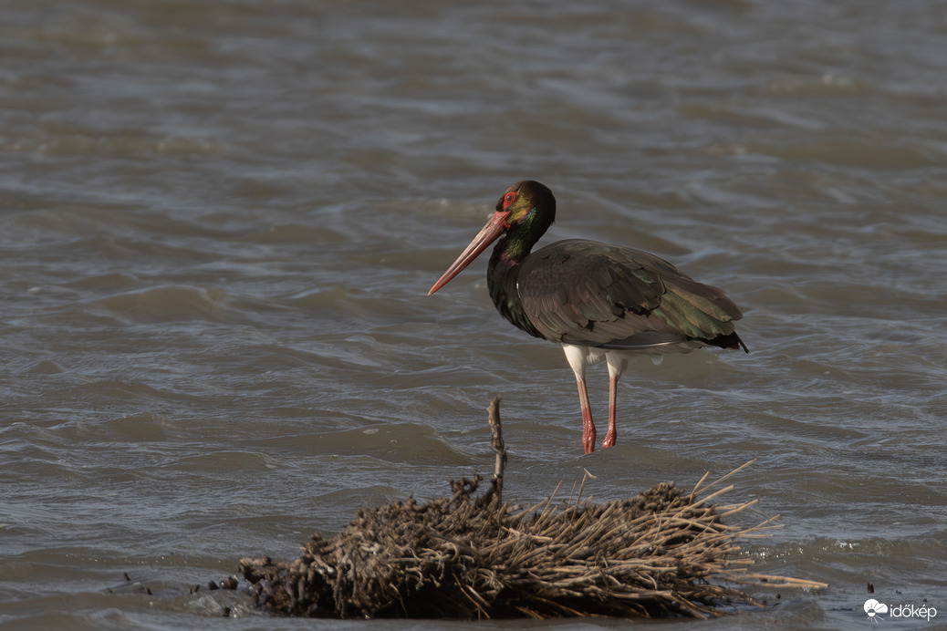 Feszült figyelem...