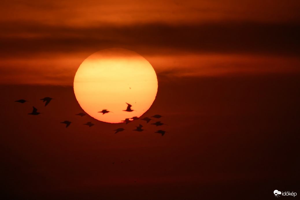 Napkorongos nagy pólingok...