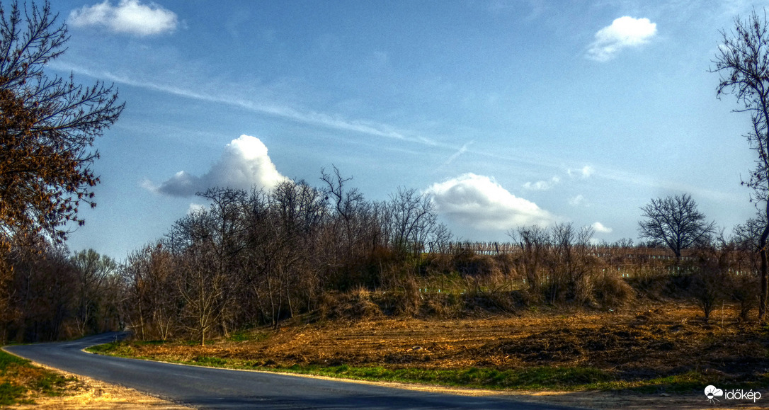 Fertő-parti szőlődomb