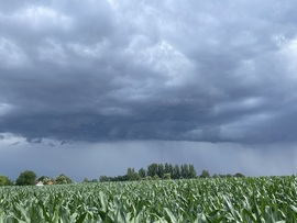 Dombegyháza